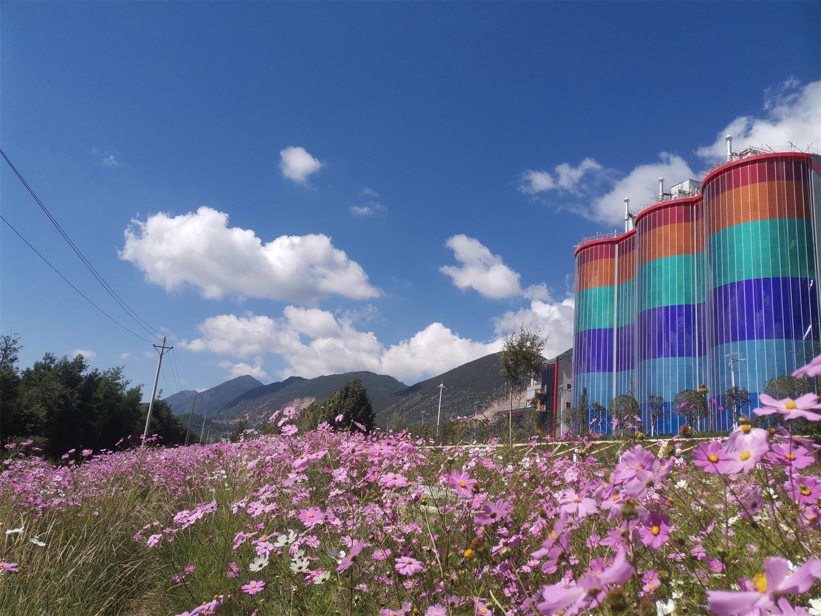 BIPV，让水泥厂变花园！