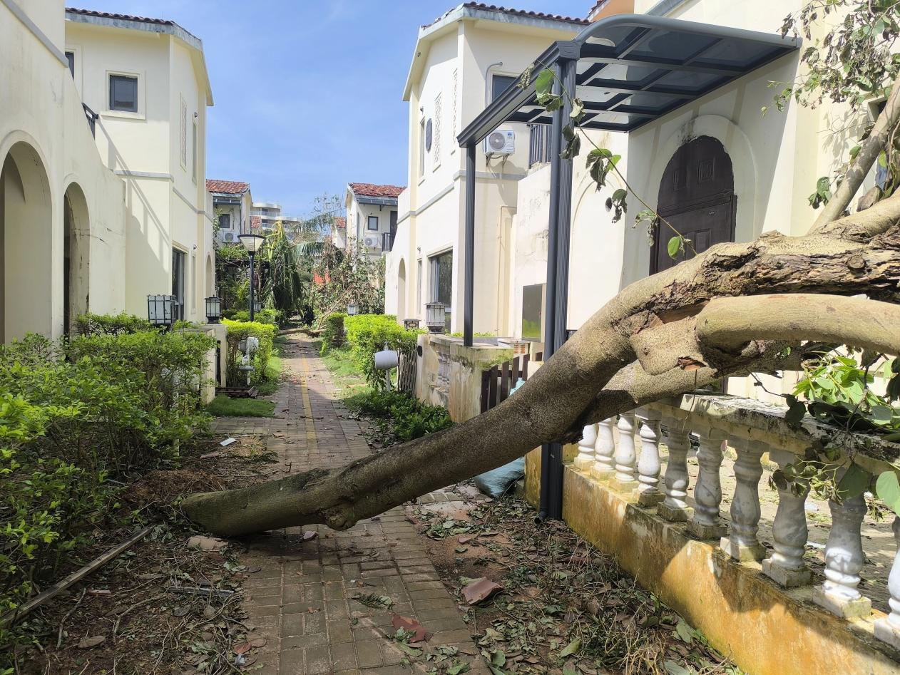 扛过“摩羯”！从成都中建材大尺寸碲化镉发电玻璃项目浅谈BIPV应用优势