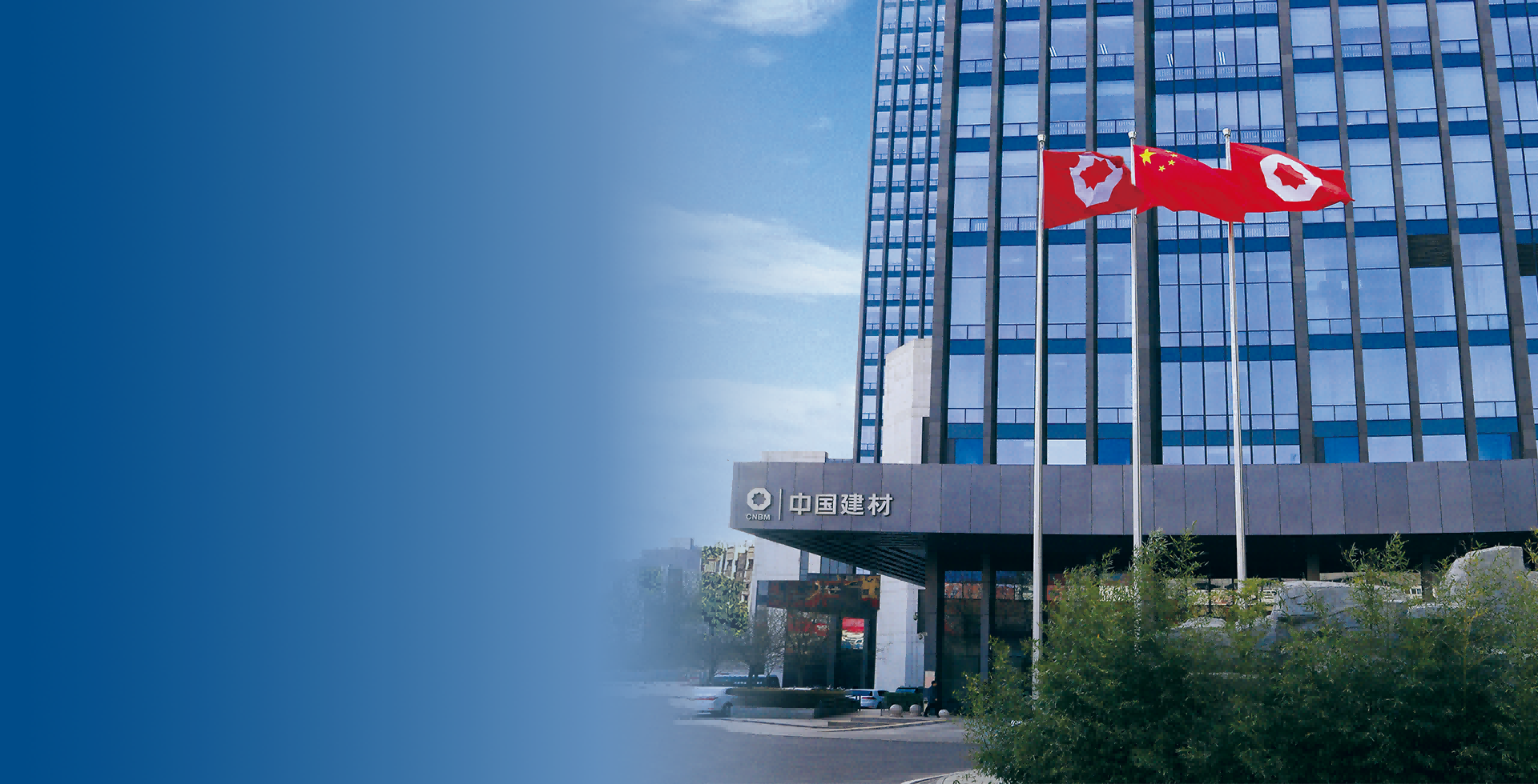 世界500强企业 行业引领